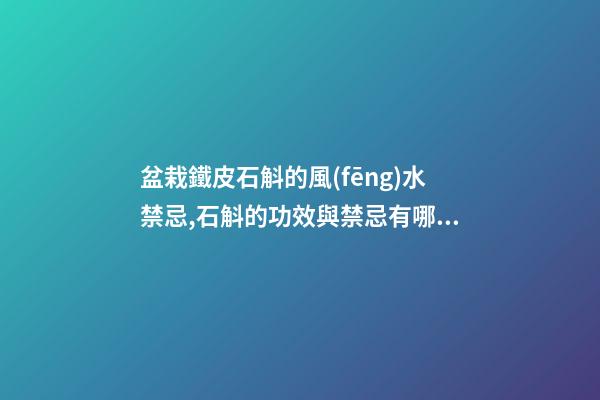 盆栽鐵皮石斛的風(fēng)水禁忌,石斛的功效與禁忌有哪些？