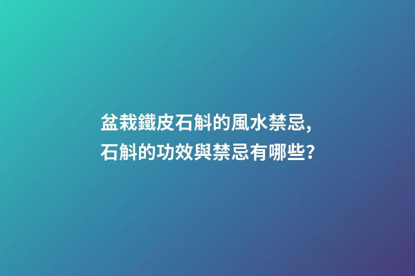 盆栽鐵皮石斛的風水禁忌,石斛的功效與禁忌有哪些？