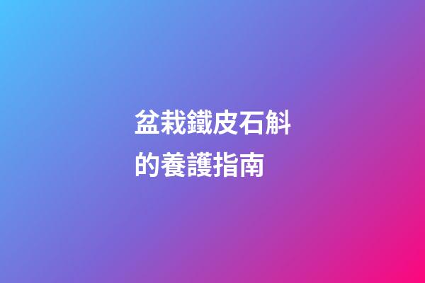 盆栽鐵皮石斛的養護指南