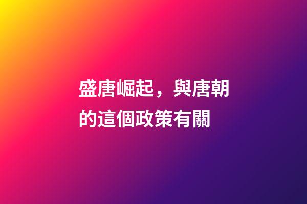盛唐崛起，與唐朝的這個政策有關-第1張-觀點-玄機派