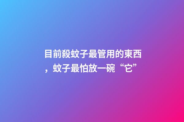 目前殺蚊子最管用的東西，蚊子最怕放一碗“它”-第1張-觀點-玄機派