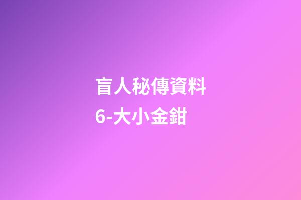盲人秘傳資料6-大小金鉗