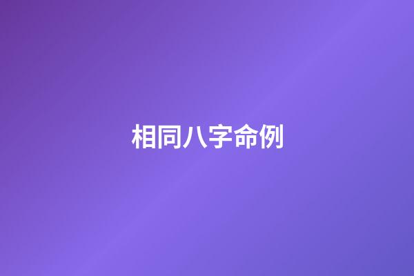 相同八字命例