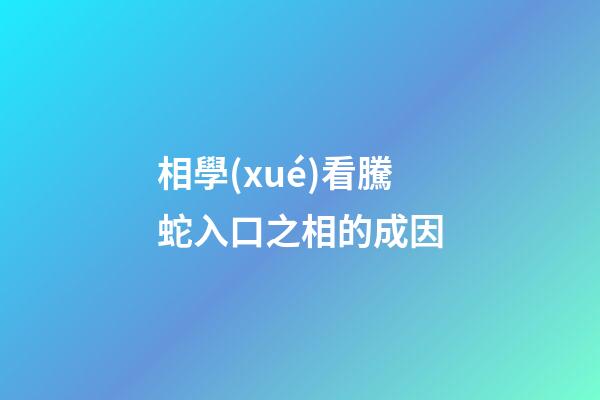 相學(xué)看騰蛇入口之相的成因