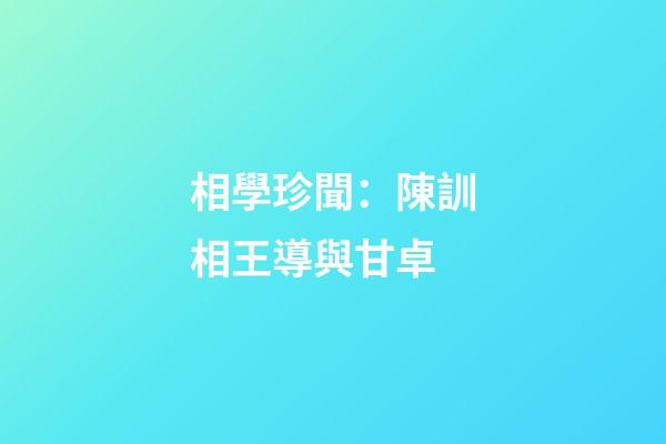 相學珍聞：陳訓相王導與甘卓