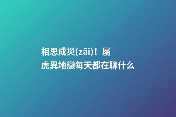 相思成災(zāi)！屬虎異地戀每天都在聊什么