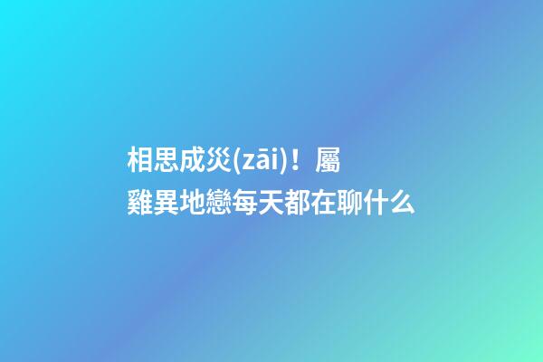 相思成災(zāi)！屬雞異地戀每天都在聊什么