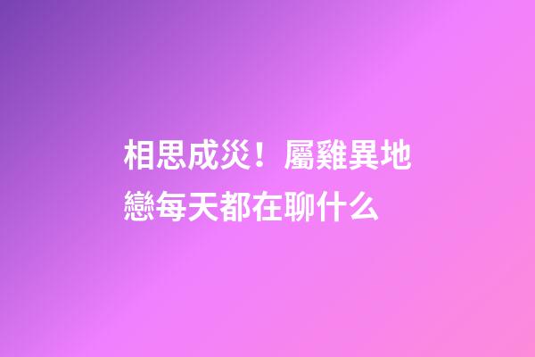 相思成災！屬雞異地戀每天都在聊什么