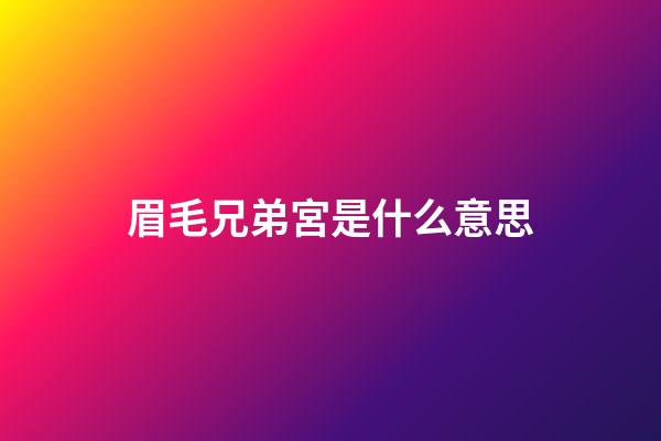 眉毛兄弟宮是什么意思