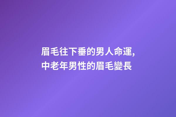 眉毛往下垂的男人命運,中老年男性的眉毛變長-第1張-觀點-玄機派