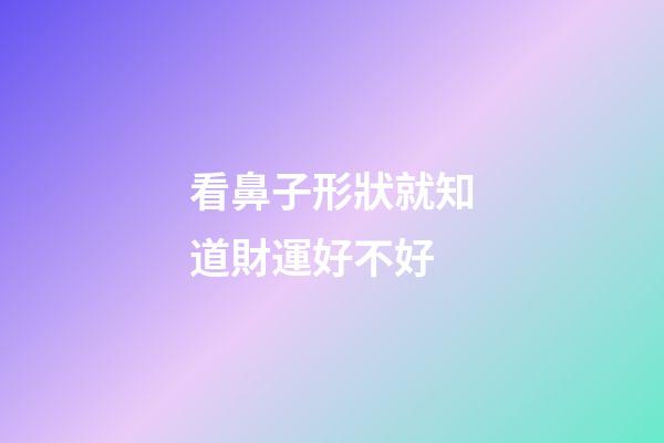 看鼻子形狀就知道財運好不好