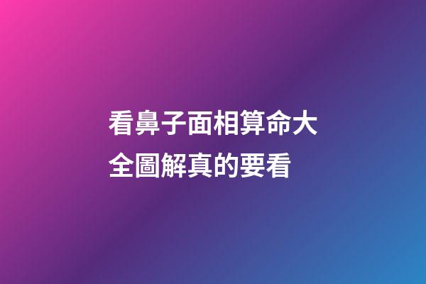 看鼻子面相算命大全圖解真的要看