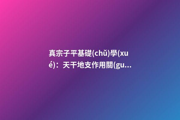 真宗子平基礎(chǔ)學(xué)：天干地支作用關(guān)系