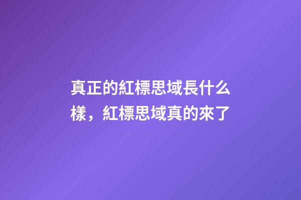 真正的紅標思域長什么樣，紅標思域真的來了-第1張-觀點-玄機派