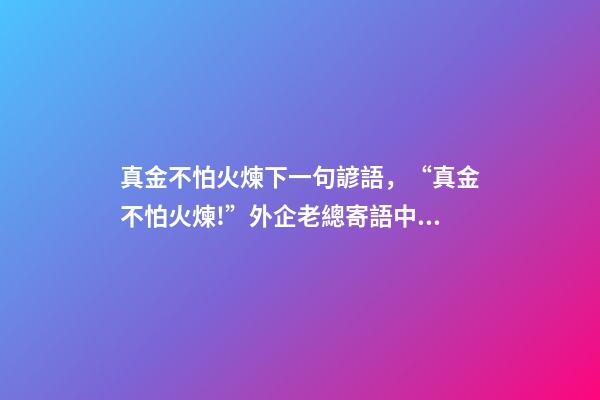 真金不怕火煉下一句諺語，“真金不怕火煉!”外企老總寄語中國經濟