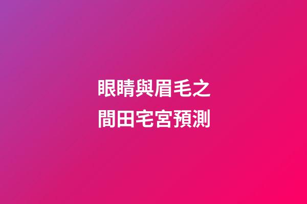 眼睛與眉毛之間田宅宮預測