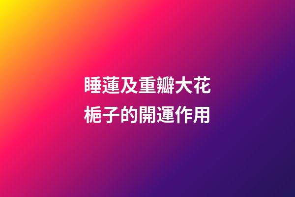 睡蓮及重瓣大花梔子的開運作用