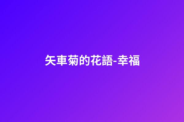 矢車菊的花語-幸福