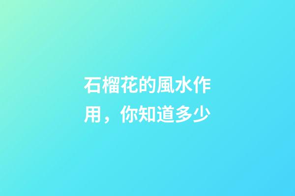 石榴花的風水作用，你知道多少