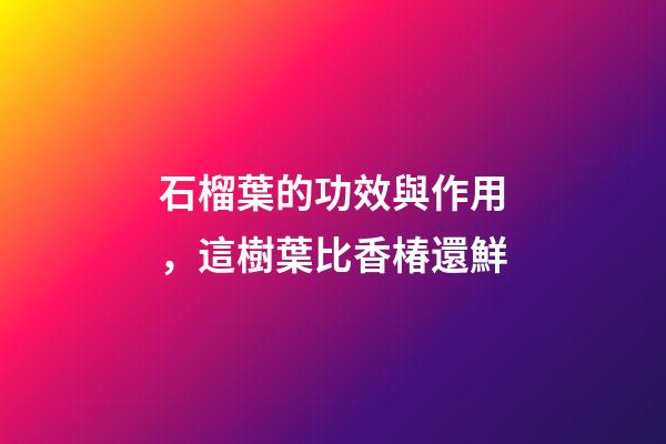石榴葉的功效與作用，這樹葉比香椿還鮮