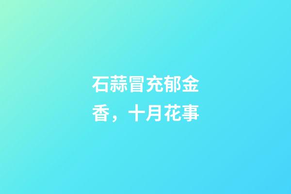 石蒜冒充郁金香，十月花事-第1張-觀點-玄機派