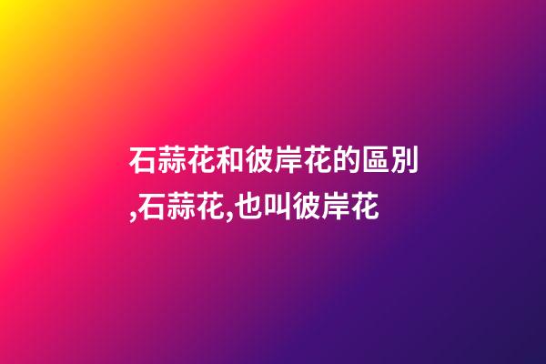 石蒜花和彼岸花的區別,石蒜花,也叫彼岸花-第1張-觀點-玄機派