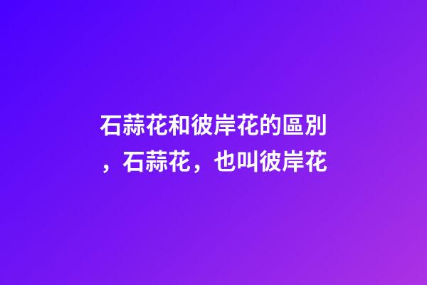 石蒜花和彼岸花的區別，石蒜花，也叫彼岸花-第1張-觀點-玄機派