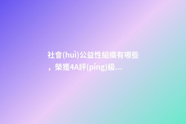 社會(huì)公益性組織有哪些，榮獲4A評(píng)級(jí)-第1張-觀點(diǎn)-玄機(jī)派