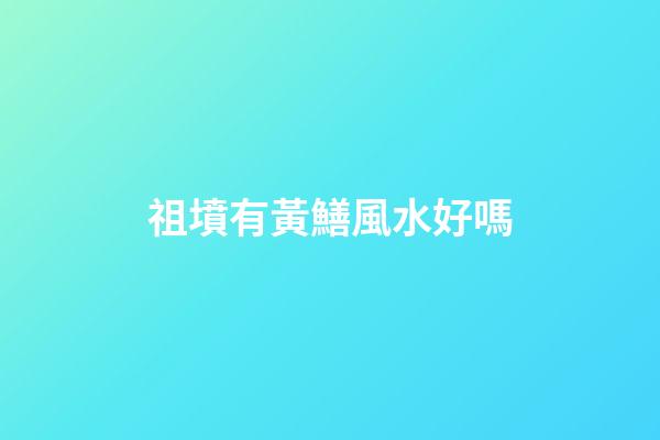 祖墳有黃鱔風水好嗎