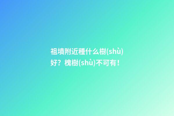 祖墳附近種什么樹(shù)好？槐樹(shù)不可有！