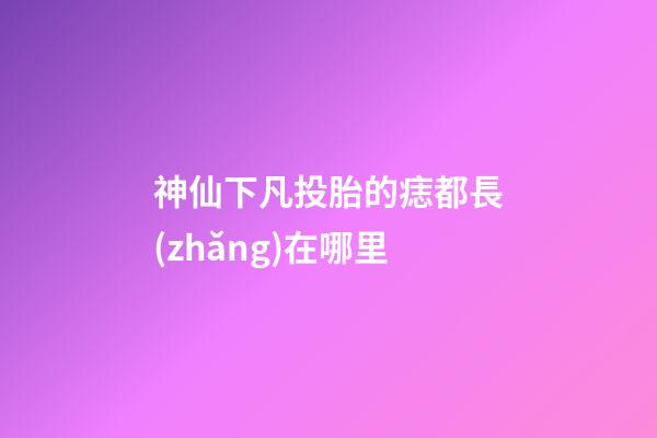 神仙下凡投胎的痣都長(zhǎng)在哪里