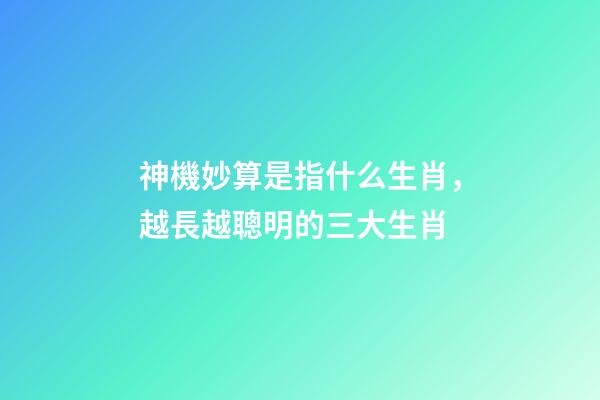 神機妙算是指什么生肖，越長越聰明的三大生肖-第1張-觀點-玄機派