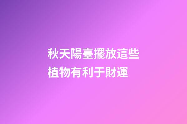 秋天陽臺擺放這些植物有利于財運
