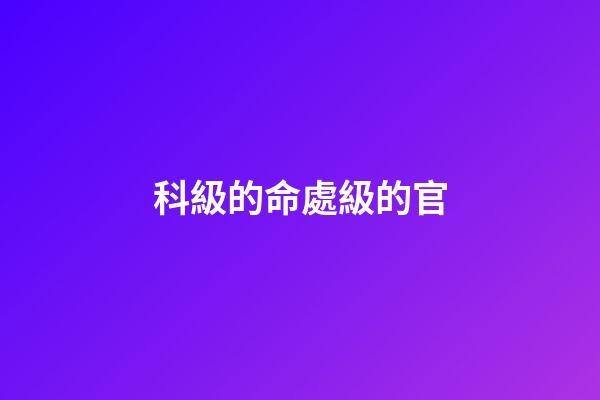 科級的命處級的官