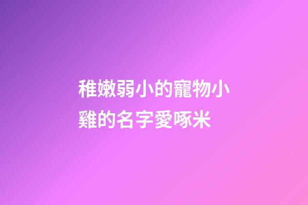 稚嫩弱小的寵物小雞的名字愛啄米