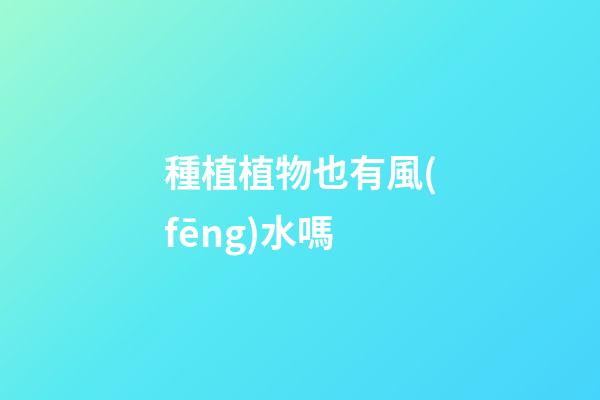 種植植物也有風(fēng)水嗎