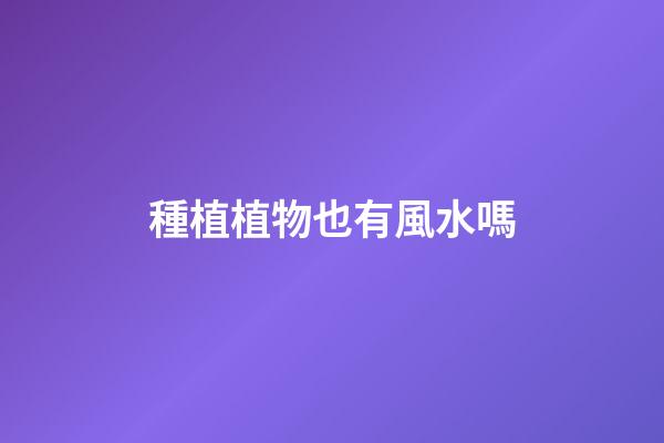 種植植物也有風水嗎