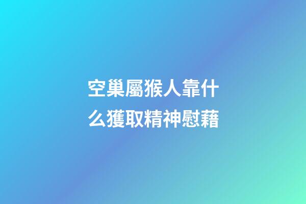 空巢屬猴人靠什么獲取精神慰藉