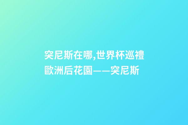 突尼斯在哪,世界杯巡禮歐洲后花園——突尼斯-第1張-觀點-玄機派