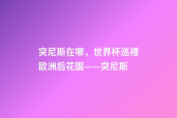 突尼斯在哪，世界杯巡禮歐洲后花園——突尼斯-第1張-觀點-玄機派
