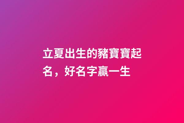 立夏出生的豬寶寶起名，好名字贏一生