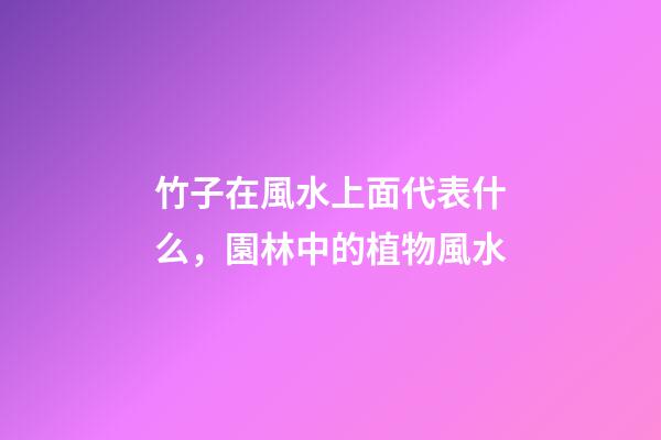 竹子在風水上面代表什么，園林中的植物風水-第1張-觀點-玄機派