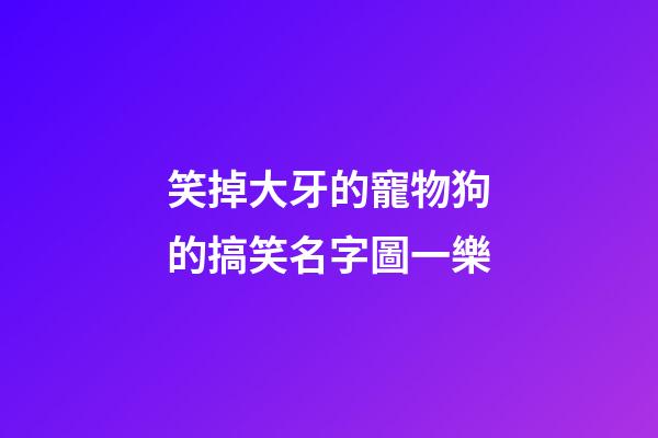 笑掉大牙的寵物狗的搞笑名字圖一樂