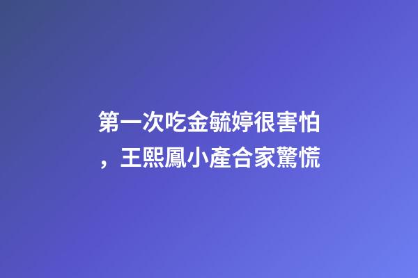 第一次吃金毓婷很害怕，王熙鳳小產合家驚慌-第1張-觀點-玄機派