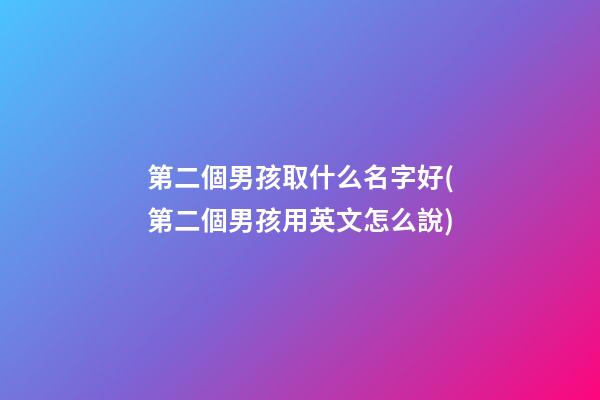第二個男孩取什么名字好(第二個男孩用英文怎么說)