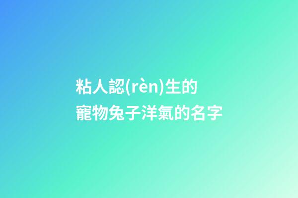 粘人認(rèn)生的寵物兔子洋氣的名字