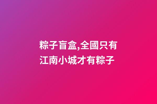 粽子盲盒,全國只有江南小城才有粽子-第1張-觀點-玄機派