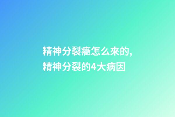 精神分裂癥怎么來的,精神分裂的4大病因-第1張-觀點-玄機派