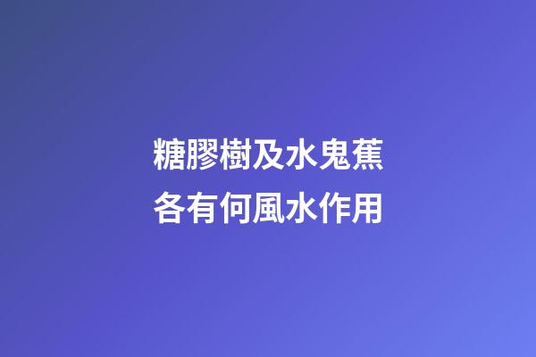 糖膠樹及水鬼蕉各有何風水作用?