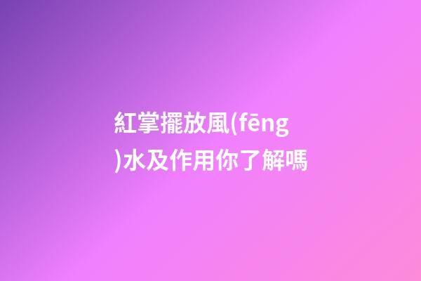 紅掌擺放風(fēng)水及作用你了解嗎
